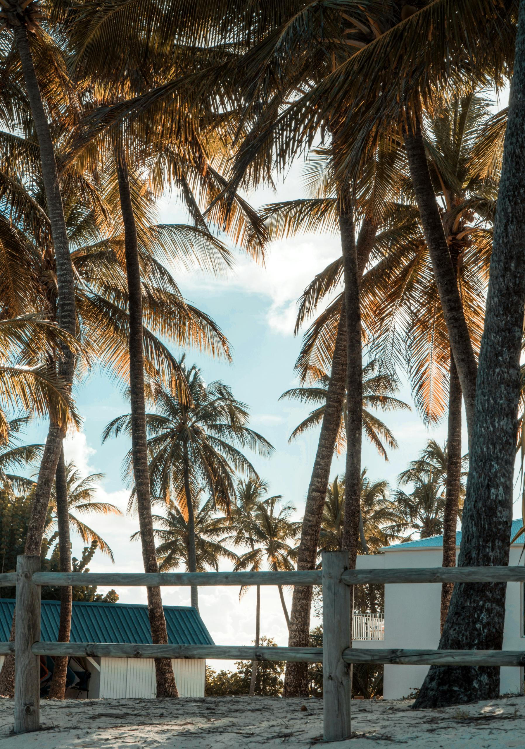 Guadeloupe
